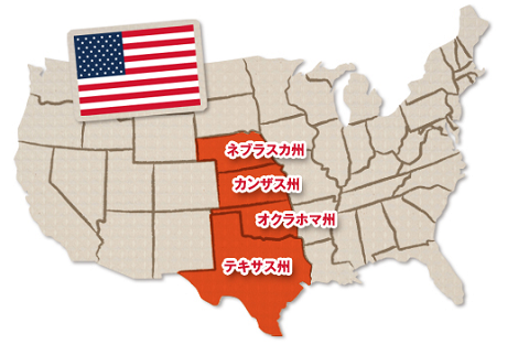 アメリカ　生産地　ソルガムきび.png