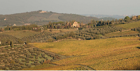 Azienda Olearia del Chianti 001.png