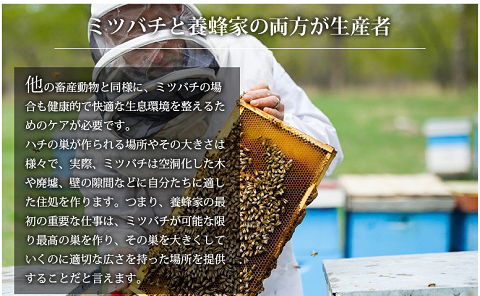 アルバータ州　ハチミオ　ミツバチ　養蜂家.png