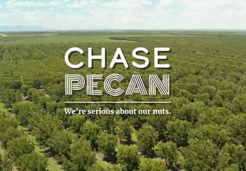 CHASE PECAN 収穫 000.png