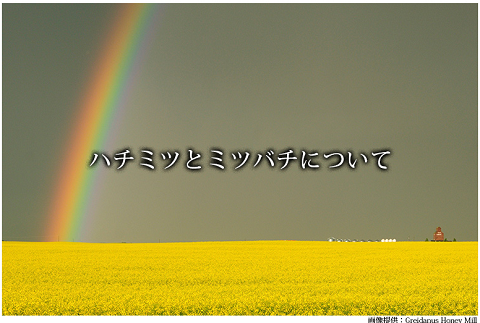 アルバータ州　ハチミツ　ミツバチ.png