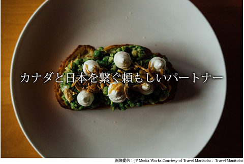 カナダ 日本 繋ぐ 頼もしい パートナー Kitchen Garden キッチンガーデン.png