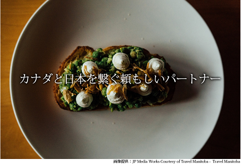 カナダ　日本　頼もしい　パートナー.png