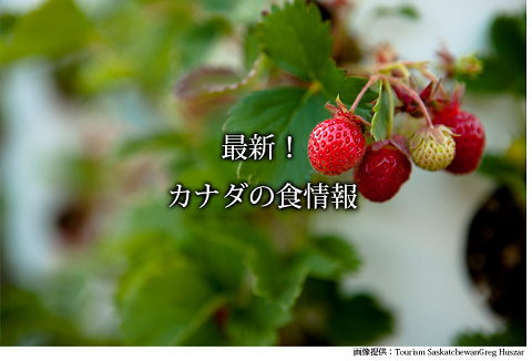 最新　カナダの食情報　Kitchen Garden キッチンガーデン.png