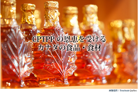 CPTPP メープルシロップ　Kitchen Garden キッチンガーデン.png