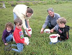 Cranberry Pic.jpg