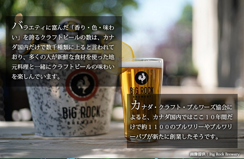 カナダ外交官004.png