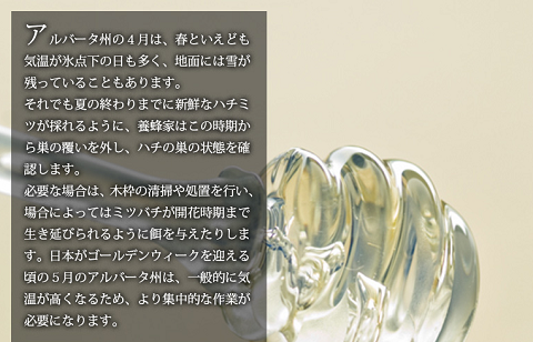 アルバータ州　養蜂家　ハチミツ　ミツバチ.png