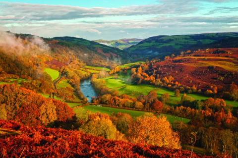 The Wye Valley Wye Valley Meadery Kitchen Garden キッチンガーデン.png